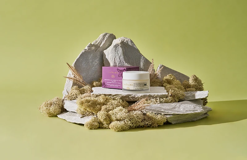 Profesjonalna fotografia produktowa: krem do twarzy Cohodo w aranżacji still life z naturalnymi kamieniami i mchem, na oliwkowo-zielonym tle.